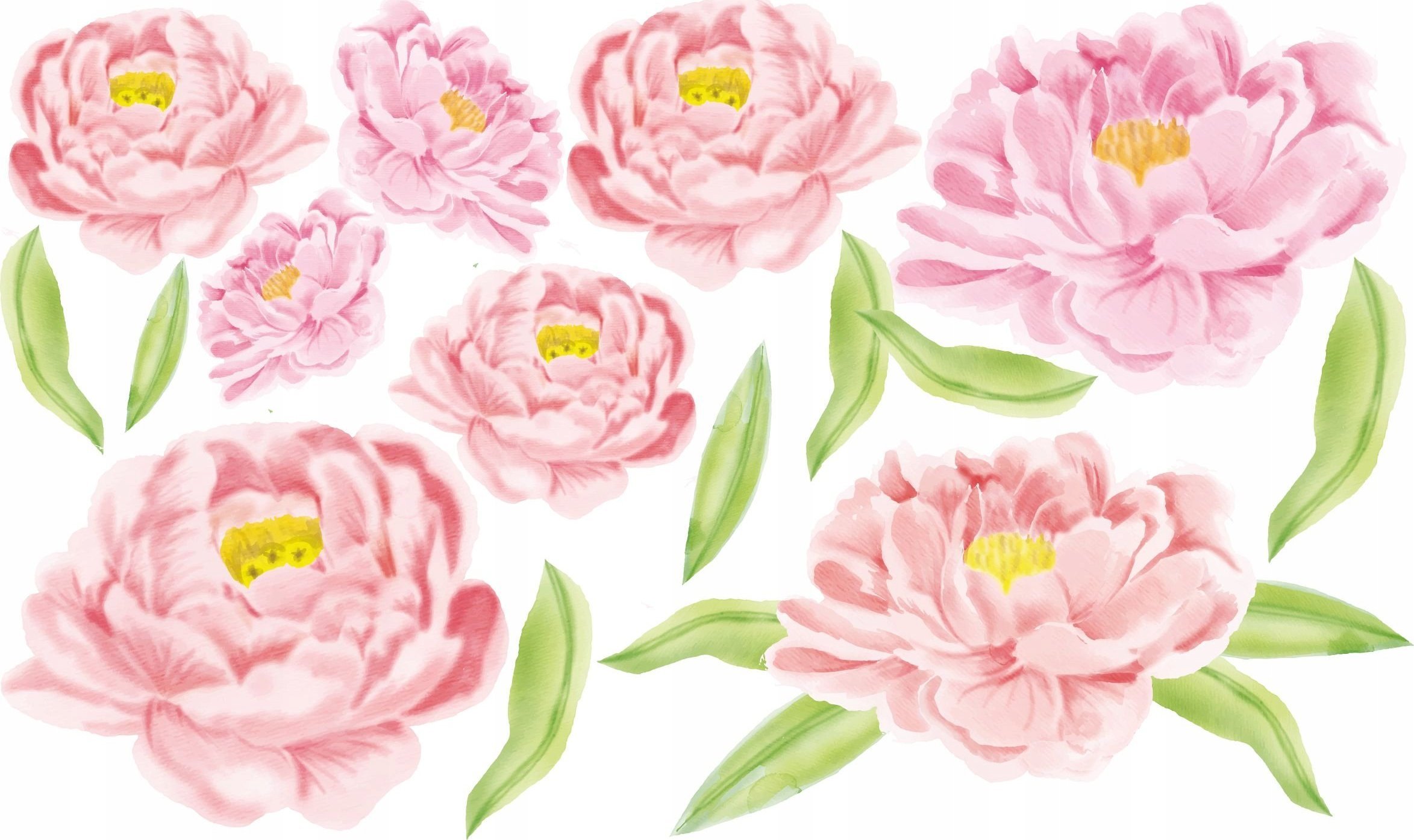 naSciane Naklejki na ścianę Kwiaty Kwiat Piwonie Piwonia XL