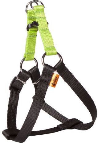 Dingo Szelki Fred "Energy" rozmiar 40 z taśmy polipropylenowej - zielone