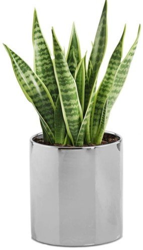 Osłonka ceramiczna srebrna walec 23 cm