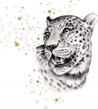 Teka Karnet Złocony kwadrat CL3819_BL Gepard