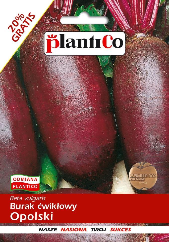 Plantico Burak Ćwikłowy Opolski 12g