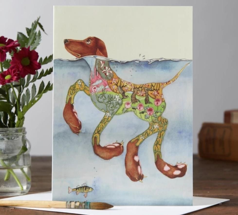 DM Collection Karnet A044 B6 + koperta Pływający pies