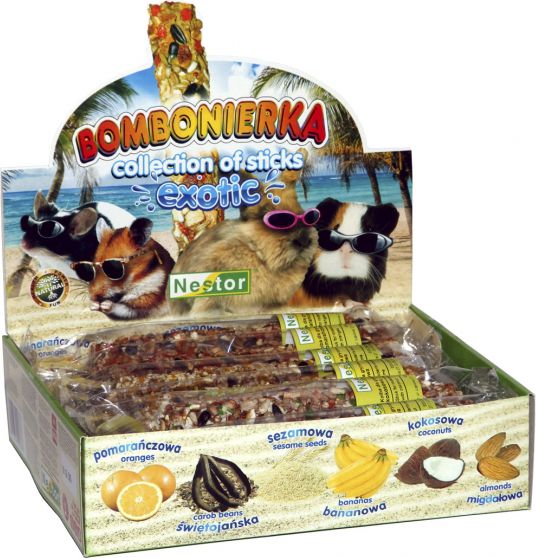 Nestor BOMBONIERKA GRYZOŃ EGZOTYCZNA