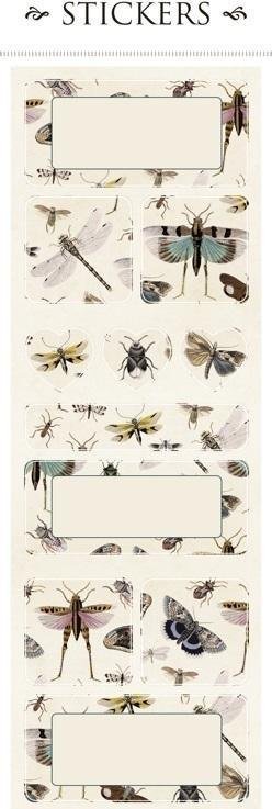 Skona Ting Naklejki ozdobne ST160-6 owady 2 arkusze