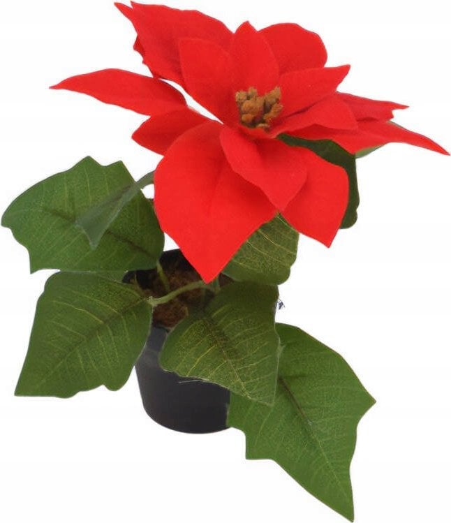 Home Styling Collection Gwiazda betlejemska, sztuczny kwiat, 19 cm