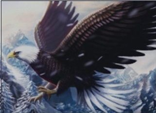 Norimpex *****Diamentowa mozaika orzeł 1004948 49483