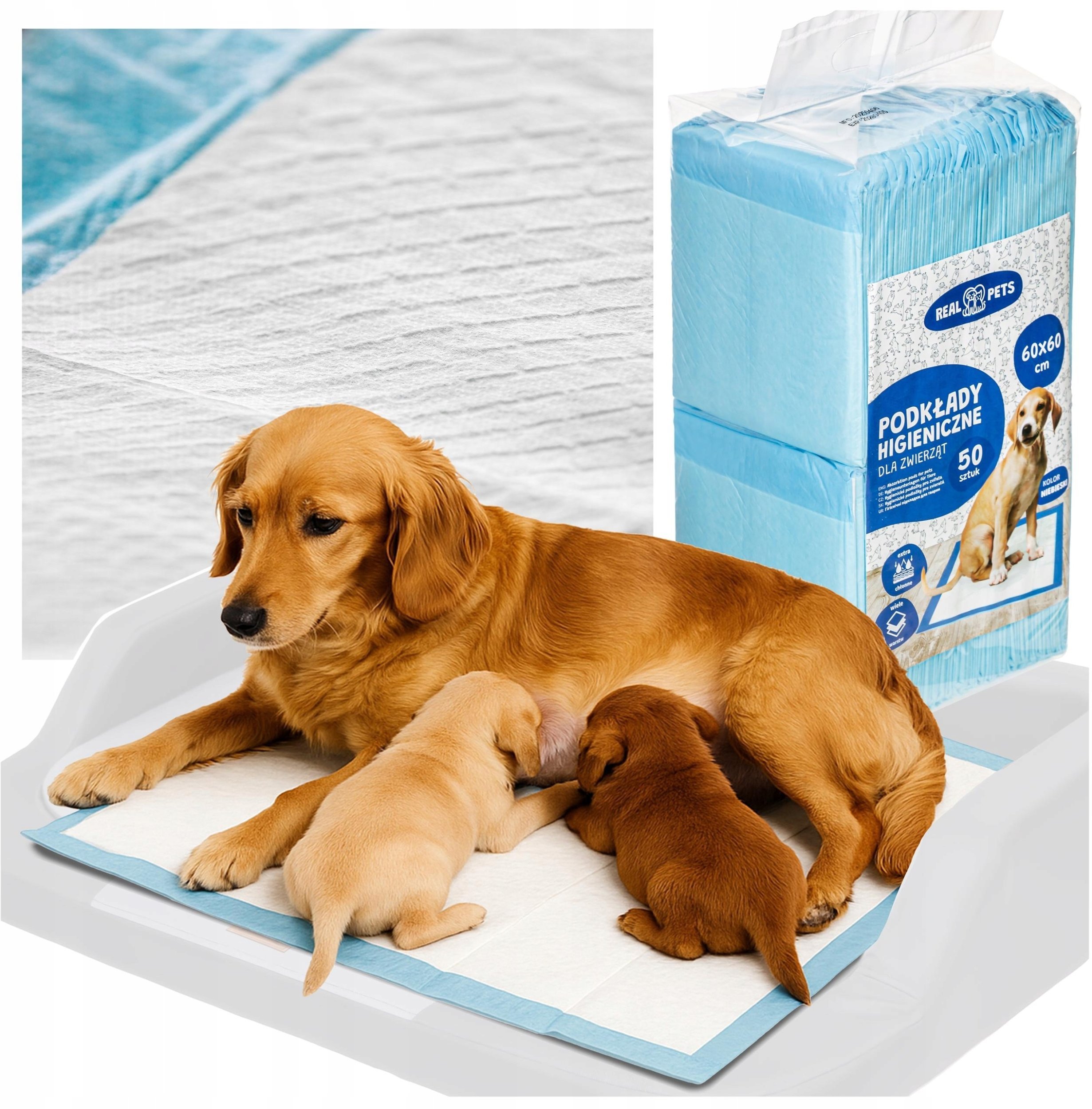 PODKŁAD HIGIENICZNY 60x60 cm