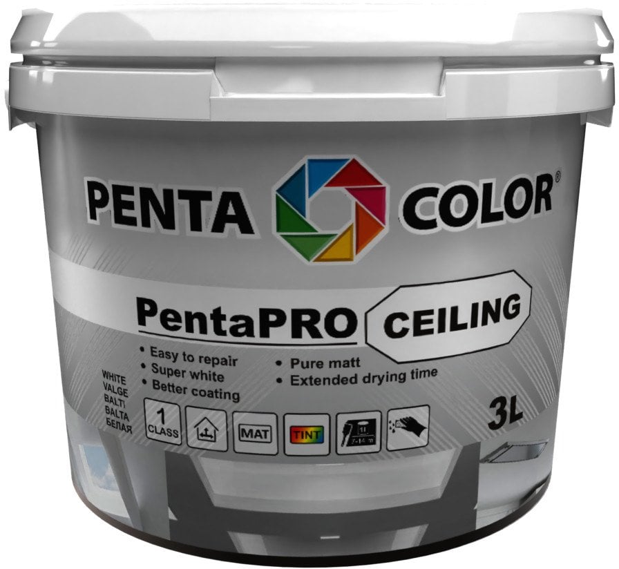 Pentacolor PAINT PENTACOLOR PENTAPRO CEILING BALT3L
