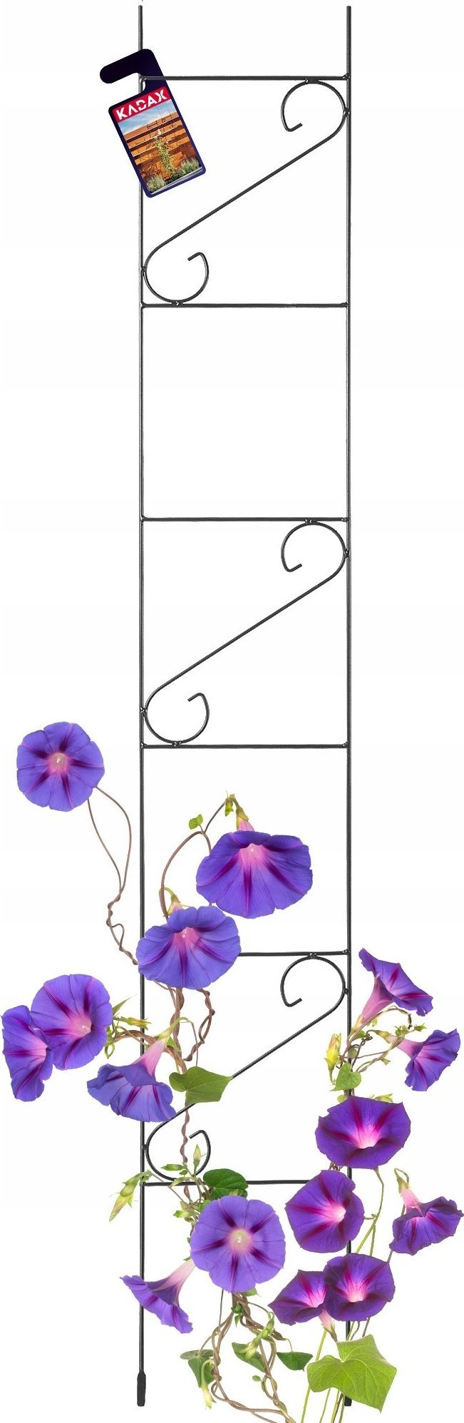 Kadax Drabina Podpora Ogrodowa Na Kwiaty Róże 210cm