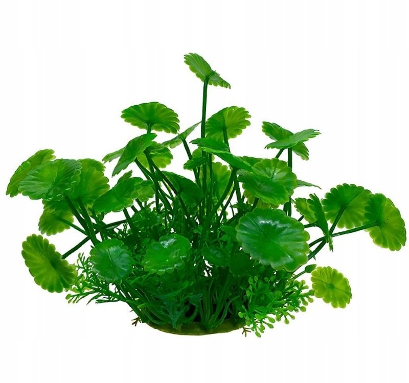Aqua Natura, roślina, do dekoracji akwarium, zielona, plastikowa, 12 cm , liście parasolowate