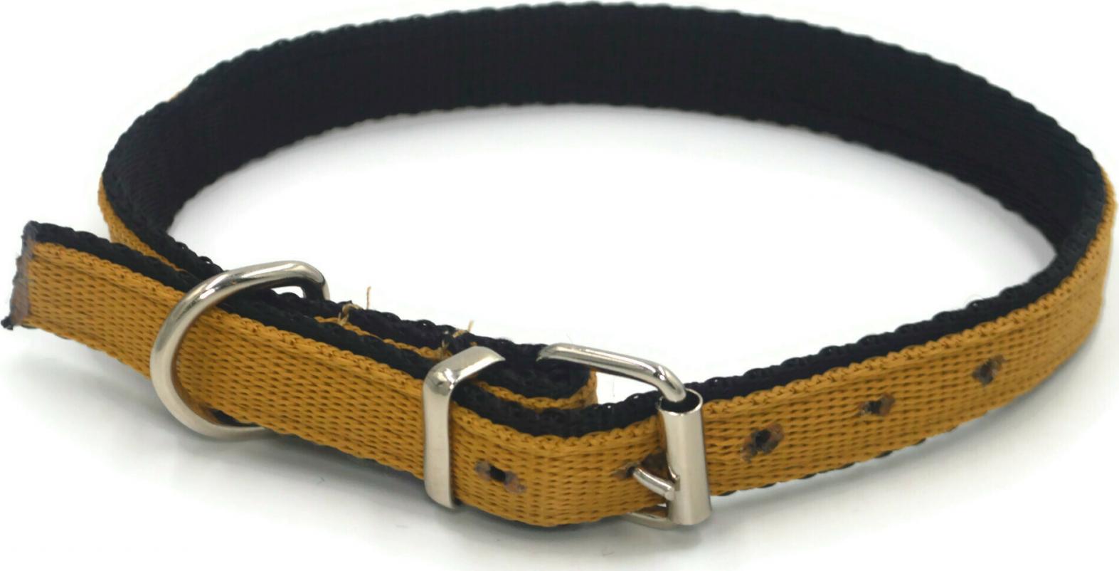 Alizoo Mocna podwójna obroża dla psa 20mm/40-48cm - ALIZOO