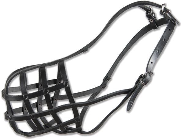 Dino Kaganiec skórzany nitowany - 34 Rottweiler Duży