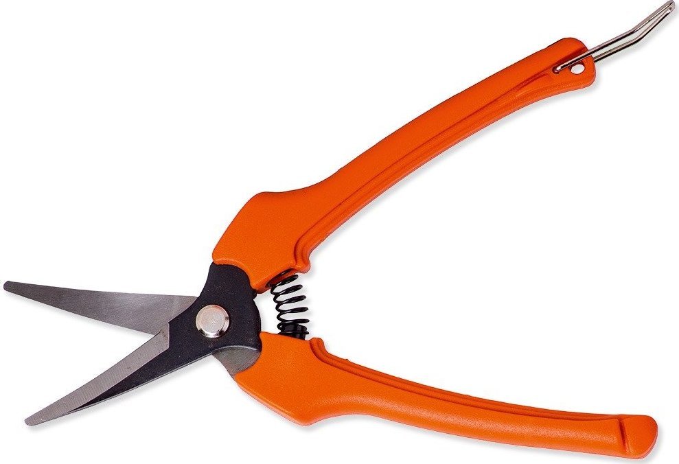 Sekator SHARK Tools Sekator do zawiązków wygięty SHARK Z2