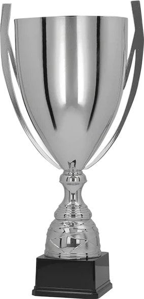 Victoria Sport Puchar metalowy srebrny BASTERS