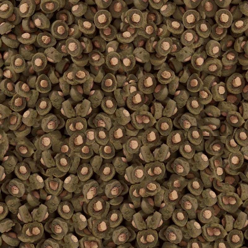 Sera Koi Professional Spirulina Color Food 1.000 g - pokarm profesjonalny