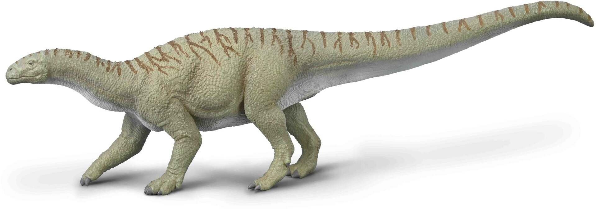 COLLECTA INGENTIA PRIMA - SKALA 1:40