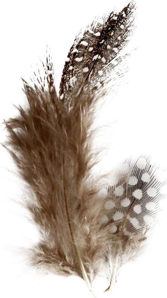 Creativ Company Pióra perliczki naturalne 3 g