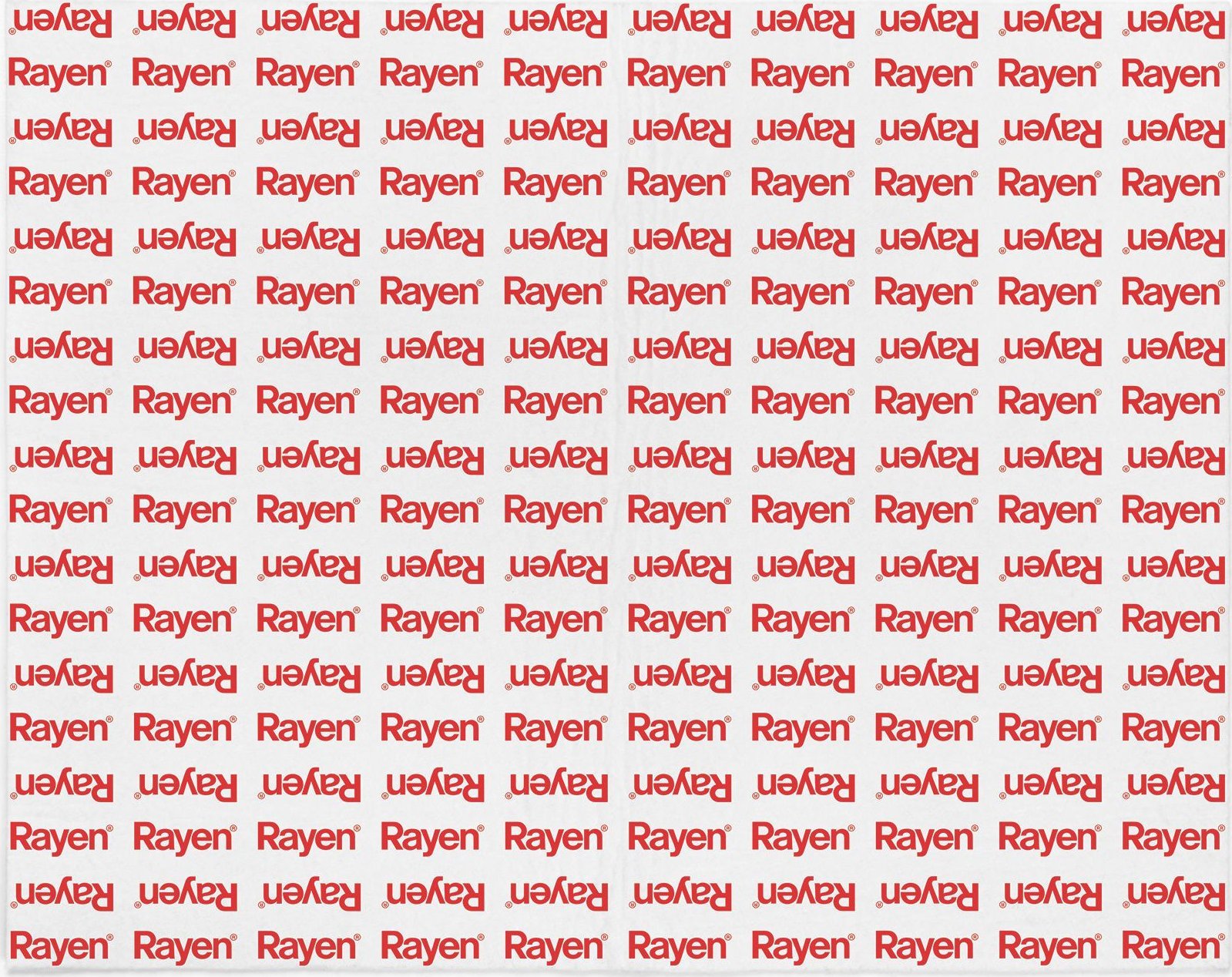 Rayen Rayen Filtr do okapu kuchennego 57 x 47 cm