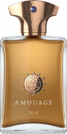 Amouage Dia EDP 100 ml