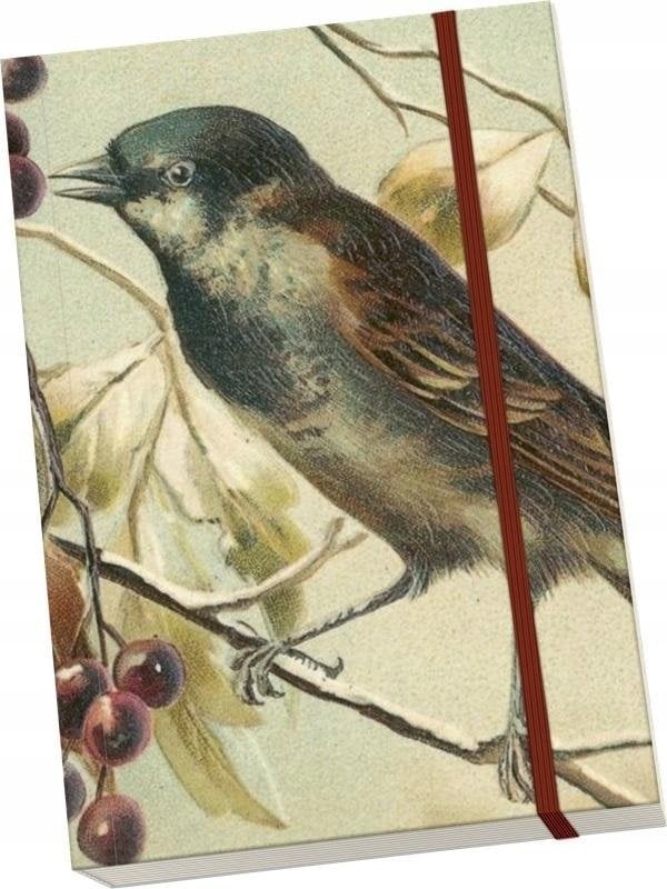 Teka Notatnik ozdobny A5 STNOTE 117 Ptaszek na gałęzi