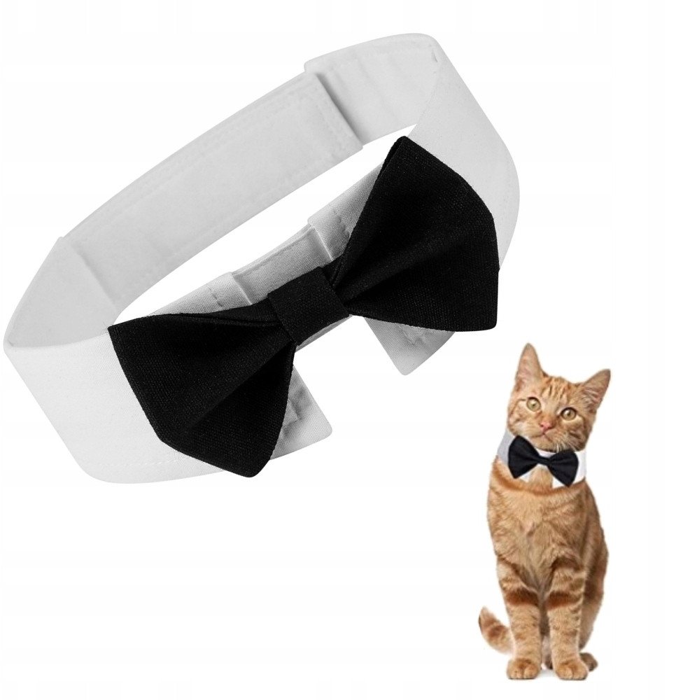 MUCHA DLA PSA KOTA Uniwersalna na rzep ELEGANCKA STRÓJ IMPREZOWY rozmiar L