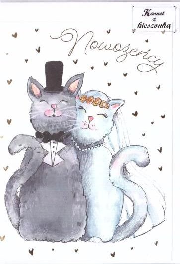 HENRY Karnet B6 z kieszonką - Koty