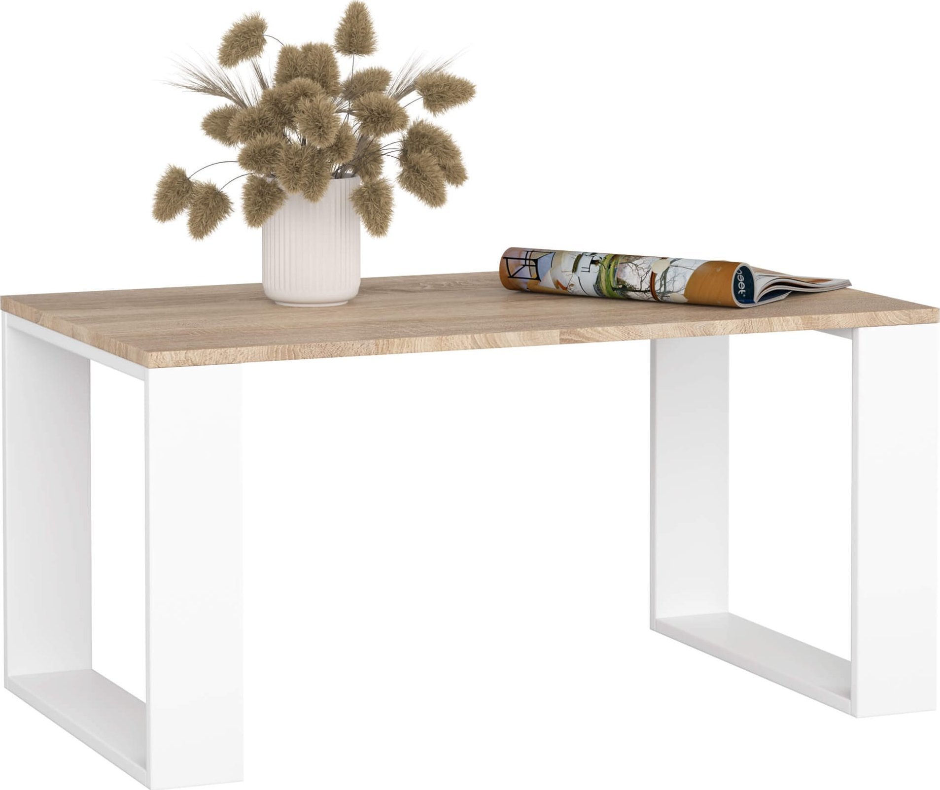 Fabryka Mebli Akord STOLIK KAWOWY NOX DĄB SONOMA / BIAŁY