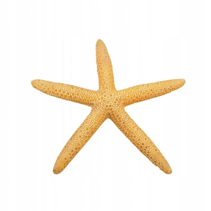 Terra Natura Dekoracja akwarystyczna rozgwiazda żółta 11cm