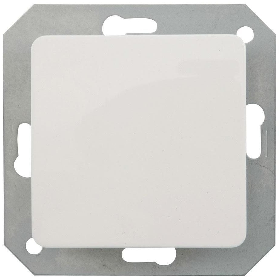 SWITCH WITH FRAME, WITHOUT FRAME