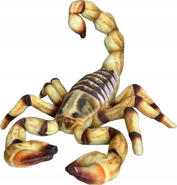 Dubi Skorpion 41cm