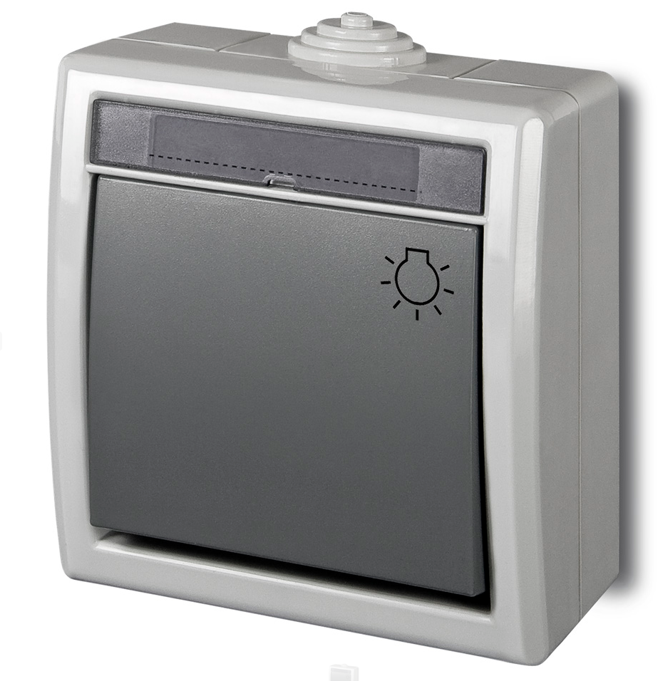 Elektro-Plast Łącznik natynkowy Aquant światło szary (1204-10)