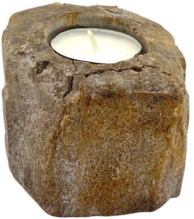 Świecznik ze skamieniałego drewna - Niski