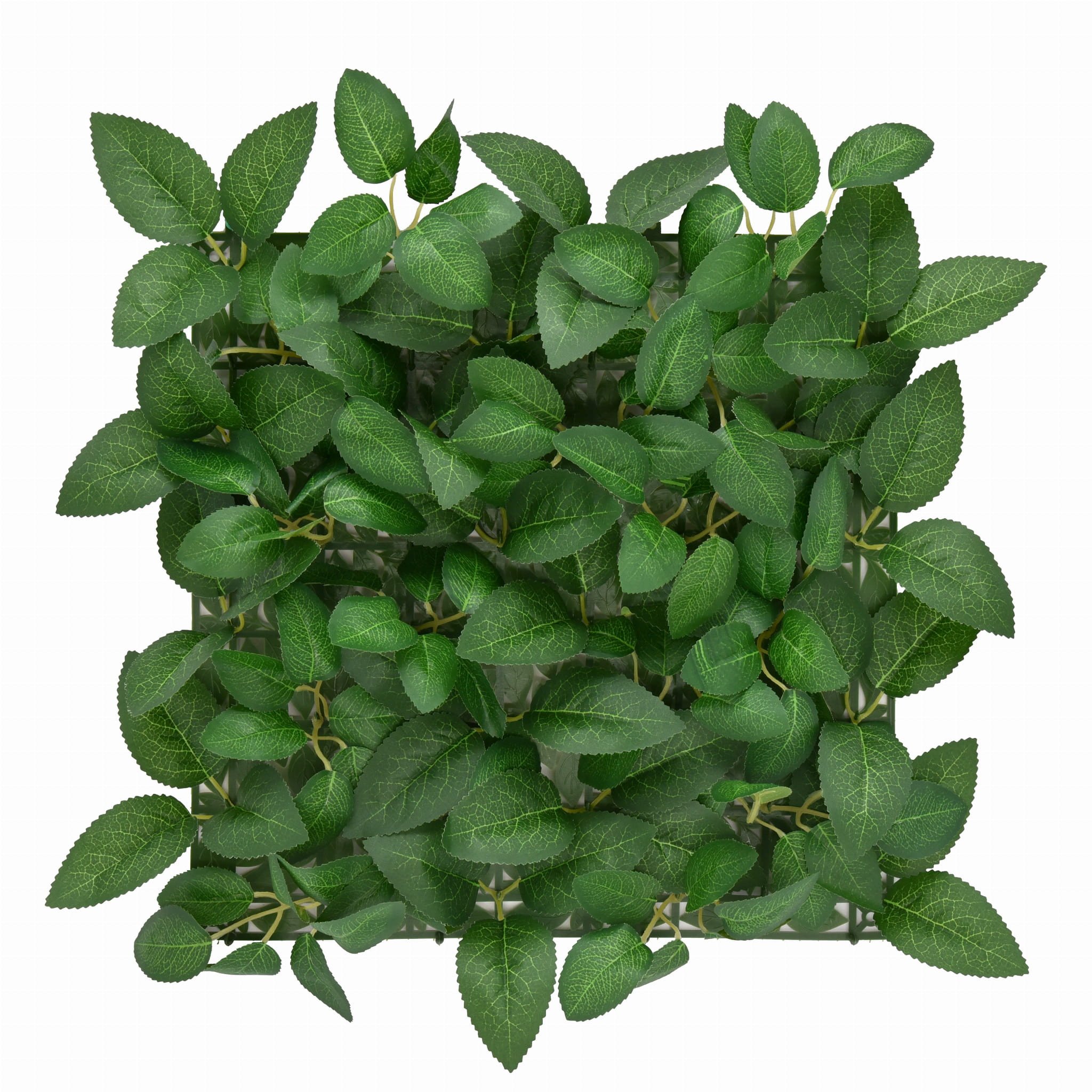 PANEL ZIELENI BLUSZCZ II 33X33 CM OGRÓD WERTYKALNY