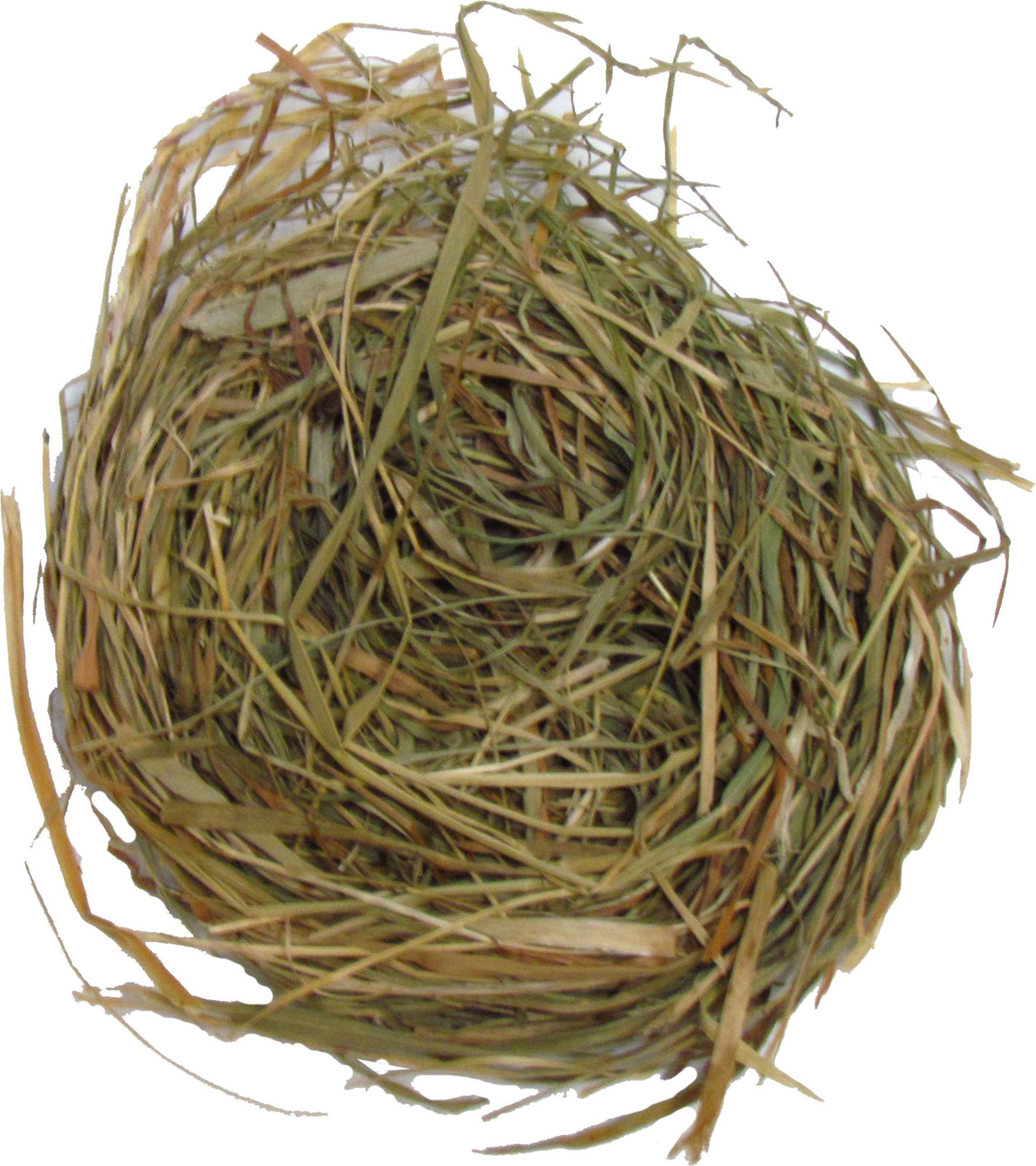 Dekoracja świąteczna Arpex Sianko na stół wigilijny (578220) - 5907667297512