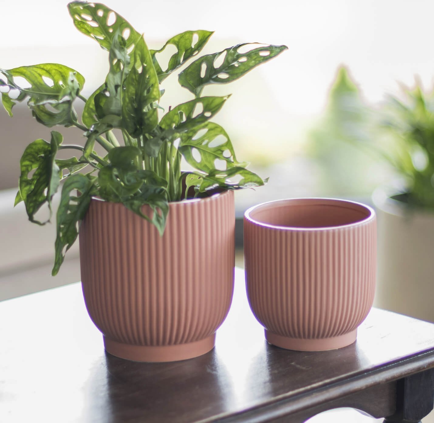 Direct Home and Garden Osłonka TERRA na nóżce 15,5 cm