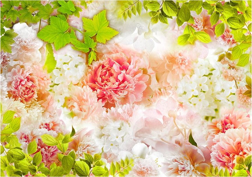 DecoNest Fototapeta - Jasne piwonie - 100X70