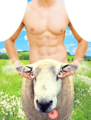 Darymex Fartuszek kuchenny 50x70 Owca