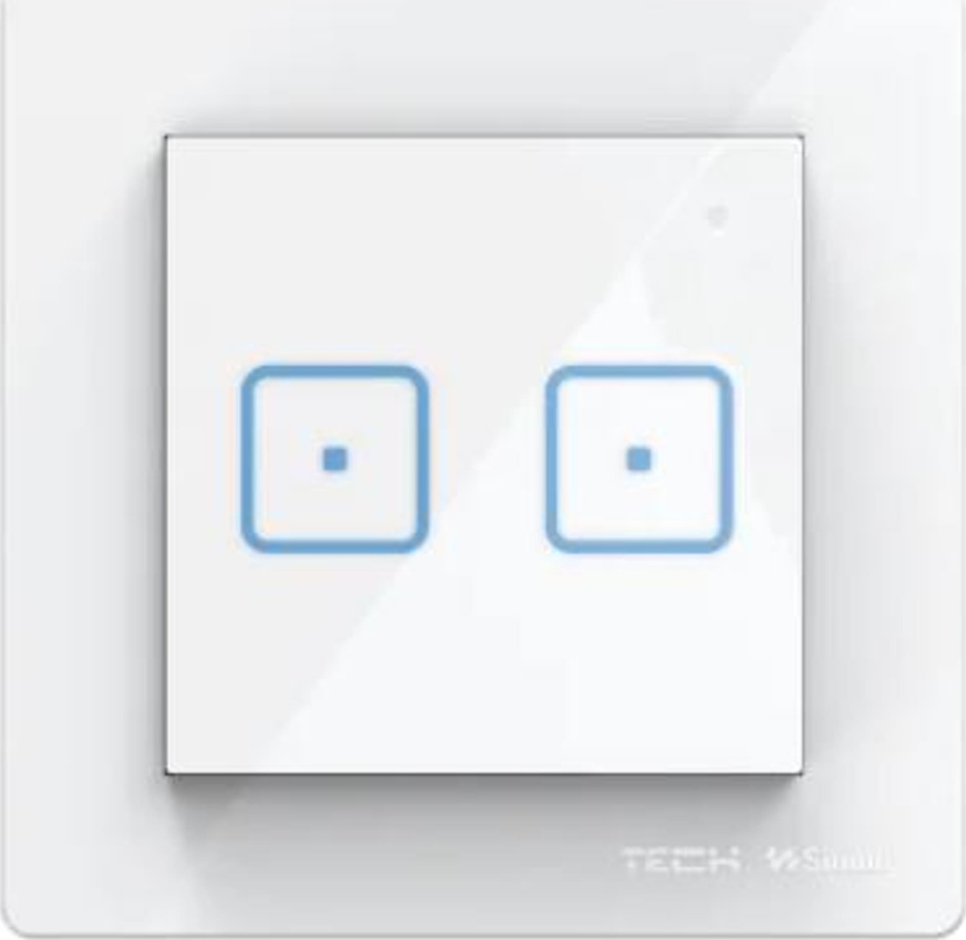 TECH Sterowniki Przewodowy włącznik dwupolowy biały FS-02M Tech Sterowniki