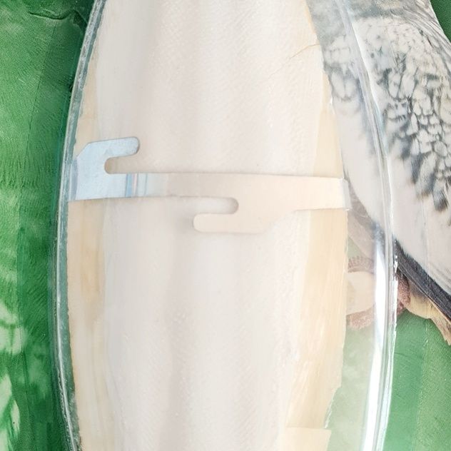 Hagen HAG.SEPIA DUZA D/PTAKOW 82176 - 56463