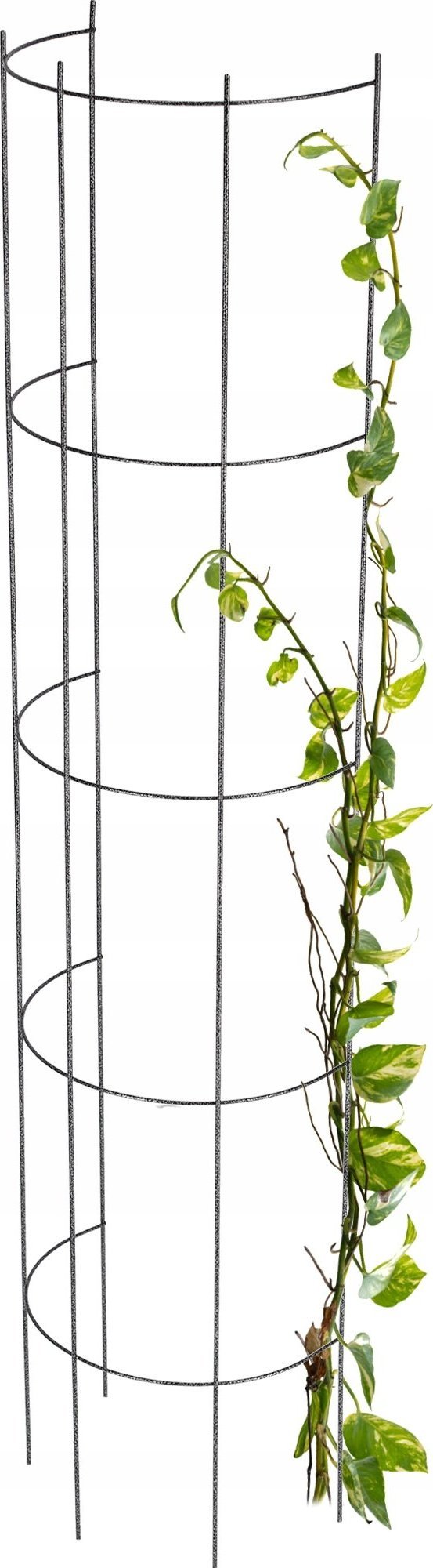 Kadax Kolumna Pergola Ogrodowa Na Kwiaty Róże 150 cm