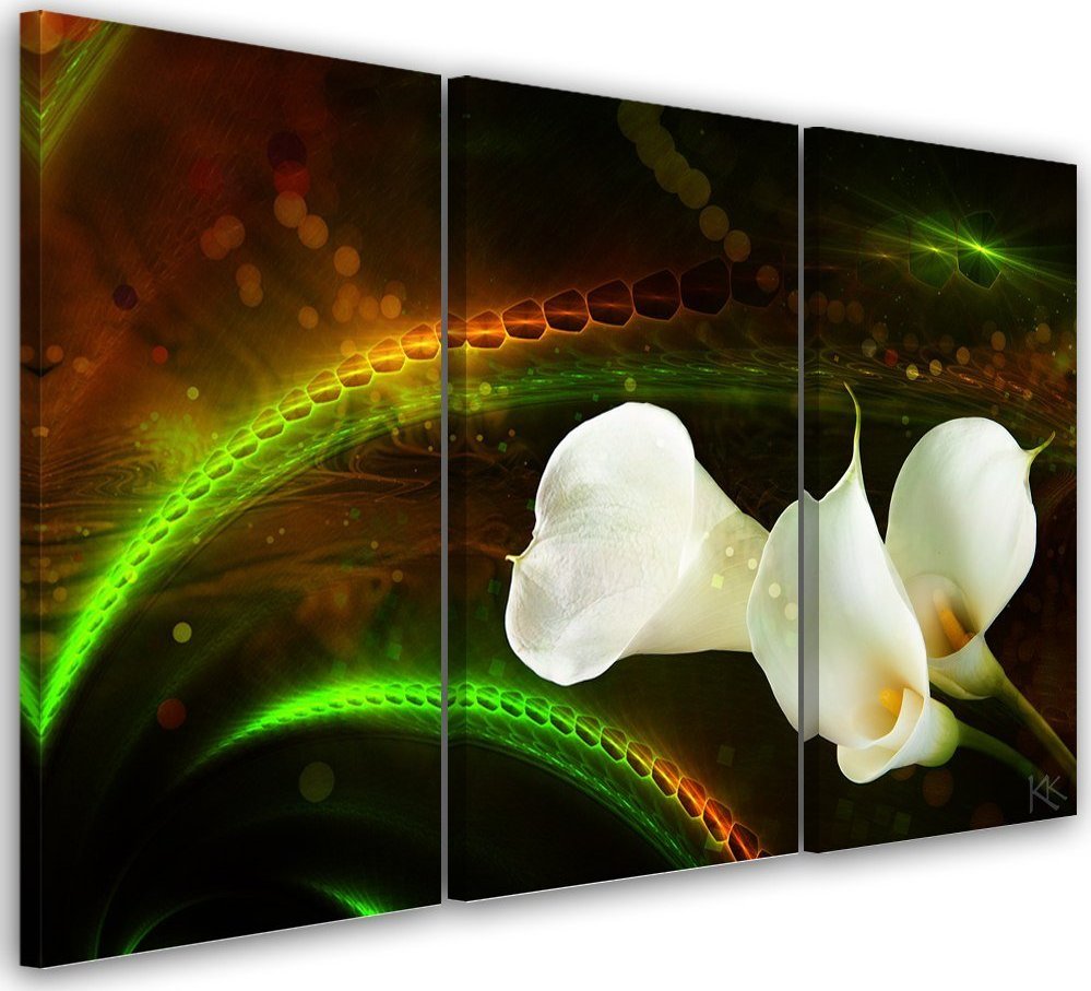 Feeby Obraz trzyczęściowy na płótnie, White flower on brown background - 60x40