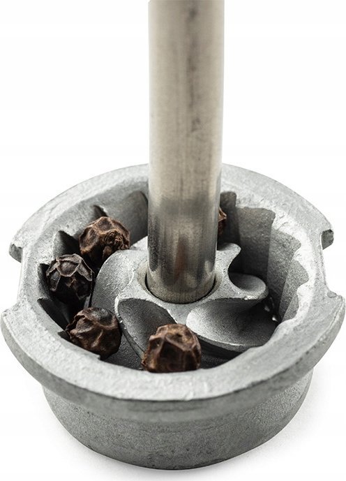 Młynek do przypraw Peugeot Peugeot Fidji Salzmühle 15 cm Graphit aus Holz und Edelstahl