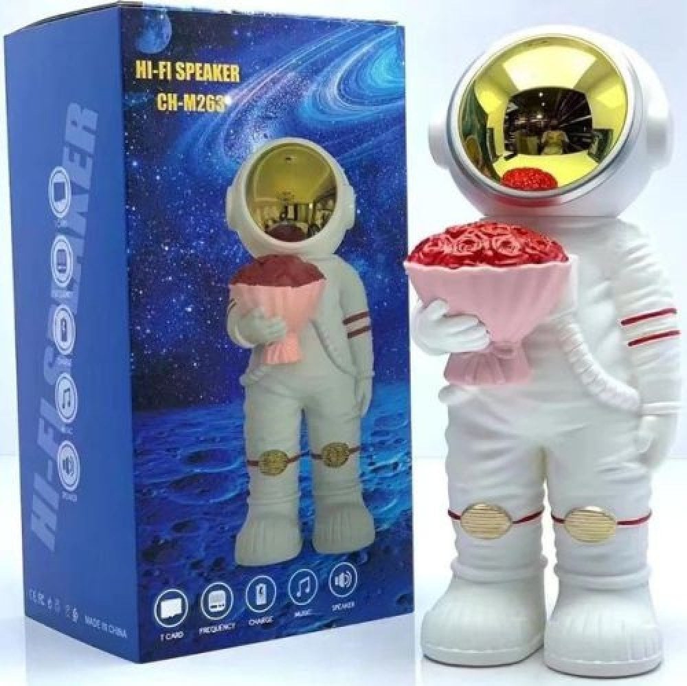Blackmoon CH-M263 Astronaut with Bluetooth speaker