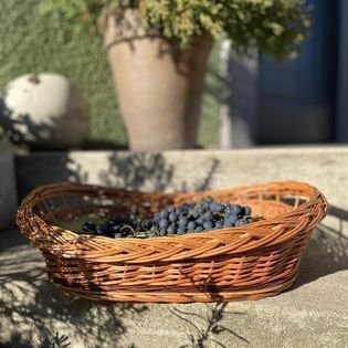 Wnuk Taca kuchenna (Owalna/40cm)