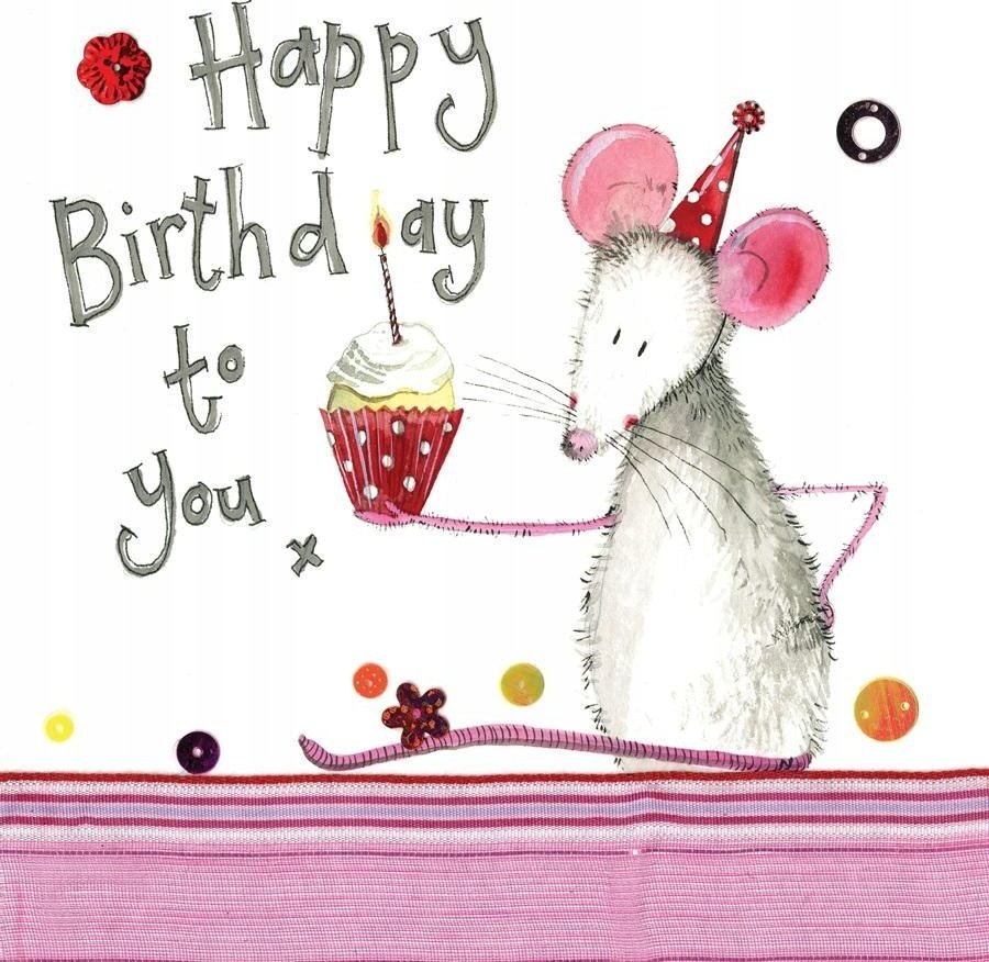 Teka Karnet Urodziny S280 Myszka z babeczk±