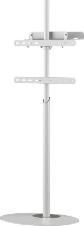 Techly Stojak podłogowy TV 32"-65" do 35kg regulowany biały