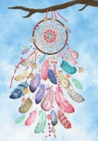 HENRY KARNET B6 HS ŁAPACZ NIEBO