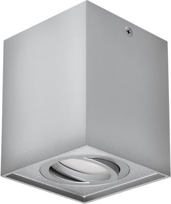 Lampa sufitowa IDEUS Oprawa sufitowa HARY D GU10 SILVER IDEUS 7154