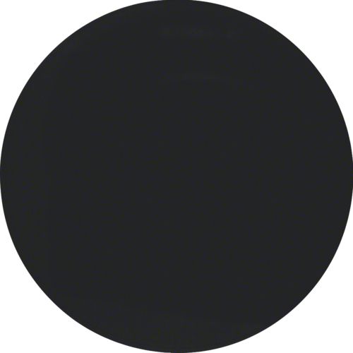 Berker Klawisz pojedynczy czarny (16202045)