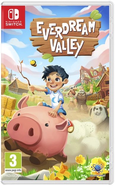 EVERDREAM VALLEY SWITCH